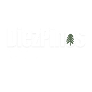 Diez Pinos Hostal
